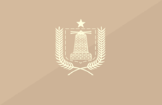 beige flag divided diagonally (top-right to bottom-left) into a lighter beige triangle on the left and darker beige triangle on the right, with a light beige coat of arms in the center